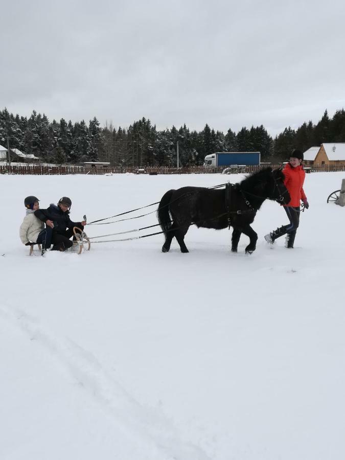 Farma Ranch Jelemek Apartman Nebahovy Kültér fotó