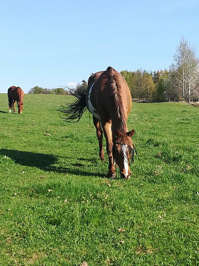 Farma Ranch Jelemek Apartman Nebahovy Kültér fotó
